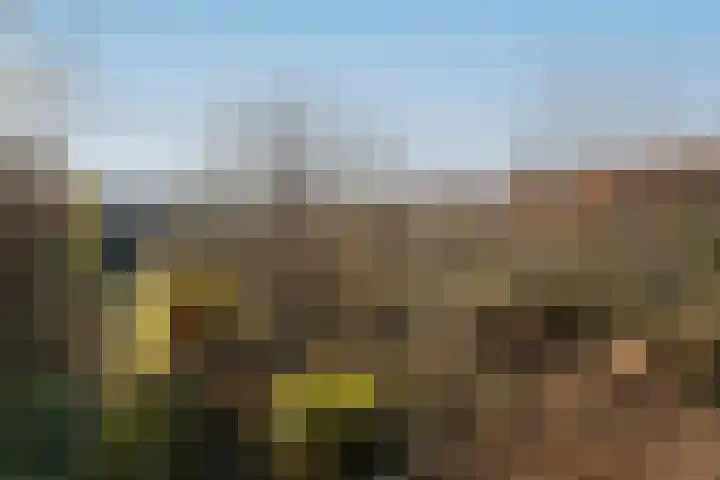 Doncksestraat 29 Ridderkerk thumbnail 38
