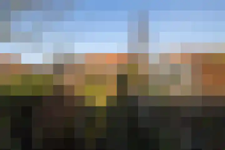 Doncksestraat 29 Ridderkerk thumbnail 39