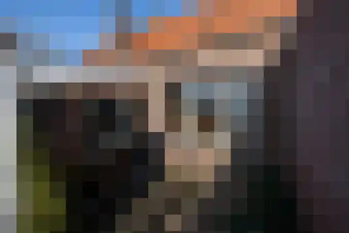 Doncksestraat 29 Ridderkerk thumbnail 41
