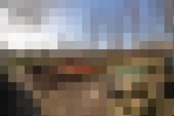 Doncksestraat 29 Ridderkerk thumbnail 43