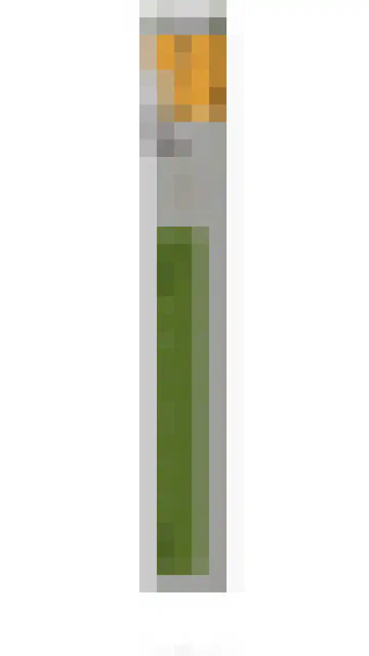 Doncksestraat 29 Ridderkerk thumbnail 46