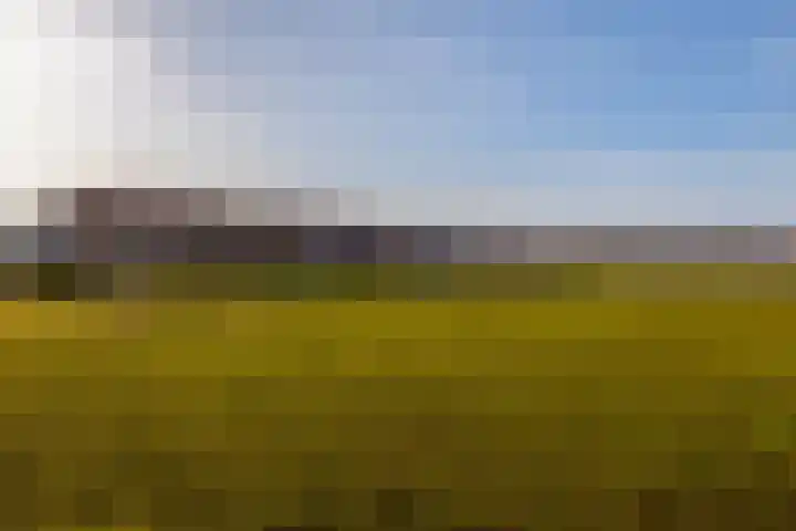 Doncksestraat 29 Ridderkerk thumbnail 5