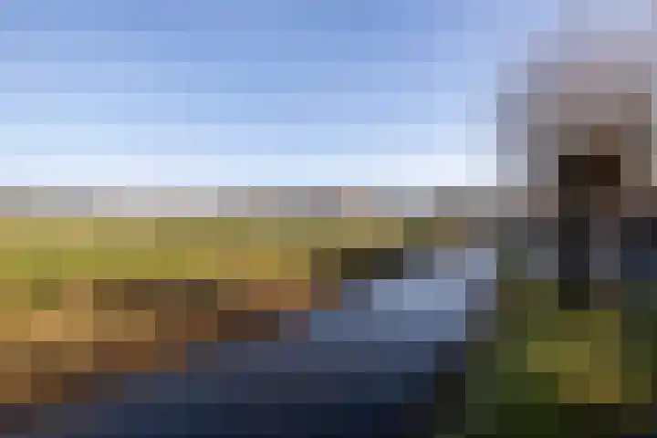 Doncksestraat 29 Ridderkerk thumbnail 6