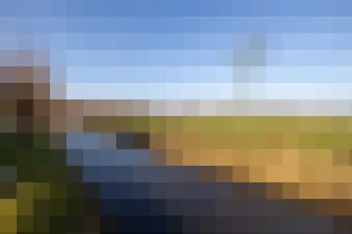 Doncksestraat 29 Ridderkerk thumbnail 7