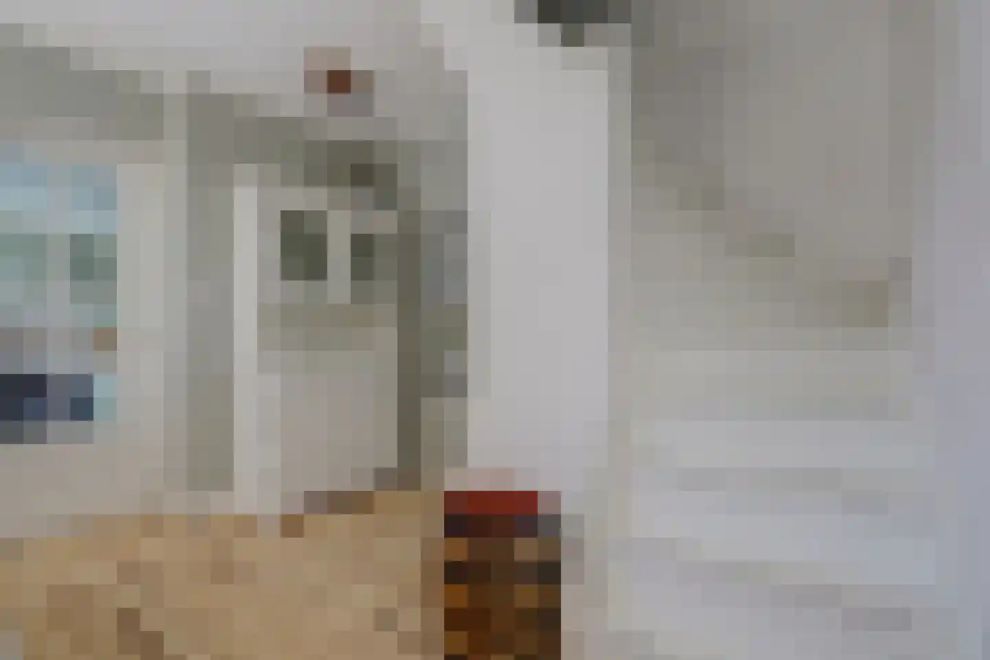 Doncksestraat 31 Ridderkerk thumbnail 10