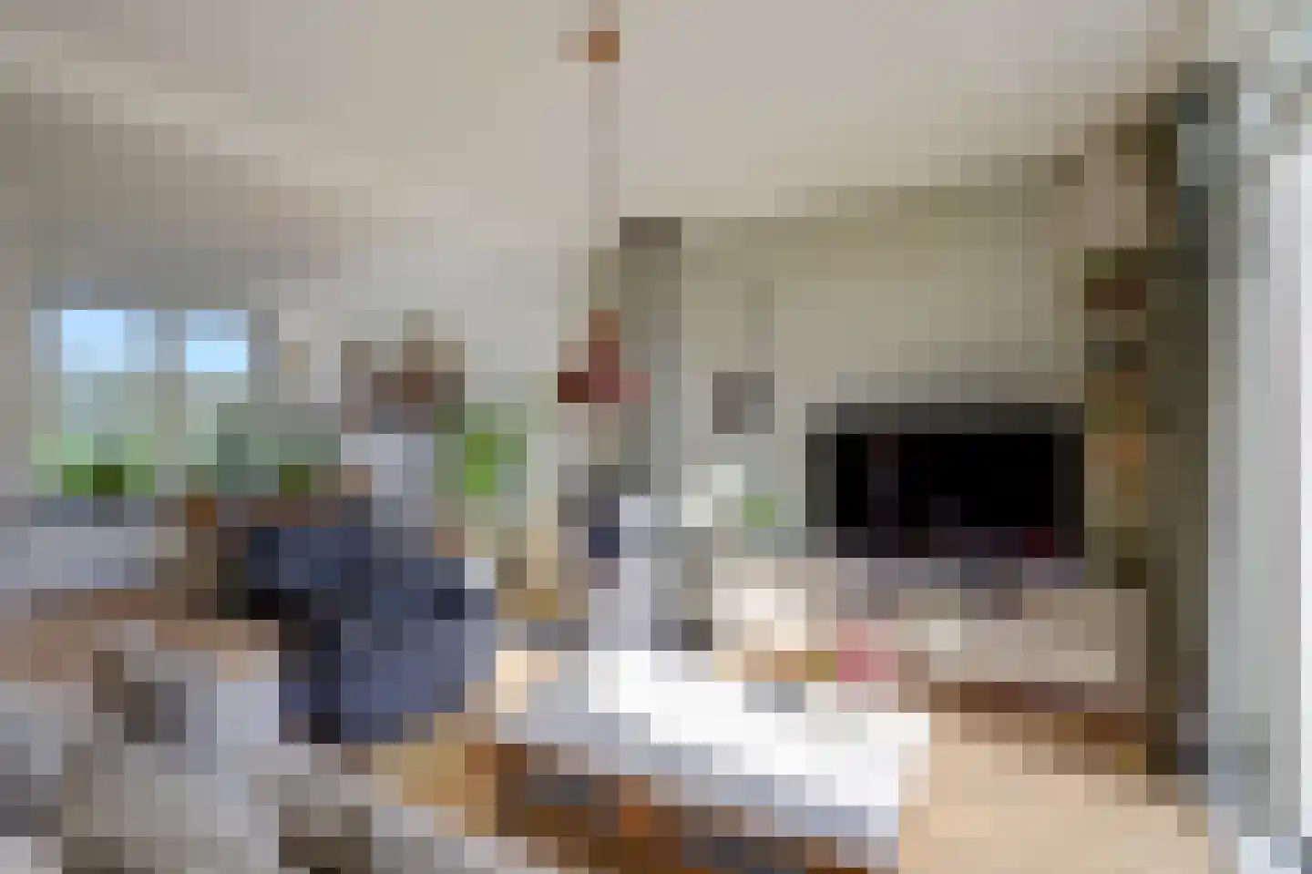 Doncksestraat 31 Ridderkerk thumbnail 16