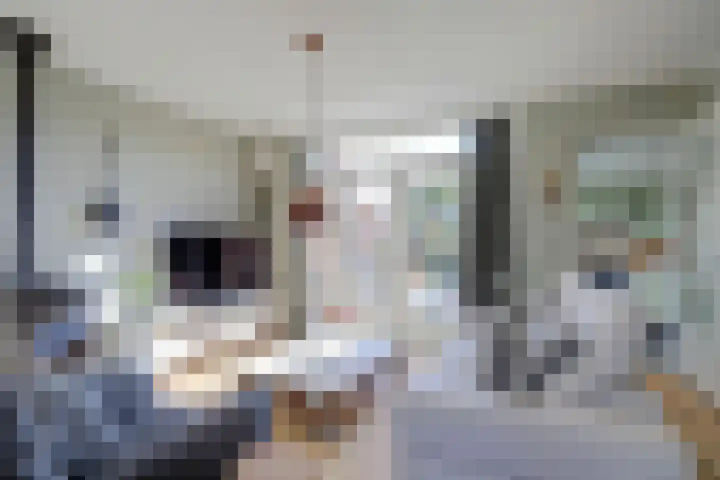 Doncksestraat 31 Ridderkerk thumbnail 19