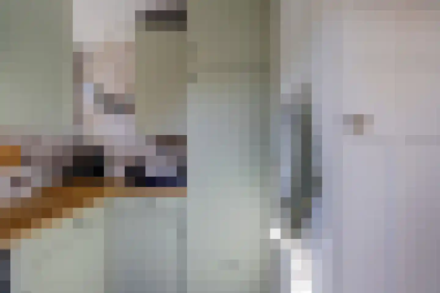 Doncksestraat 31 Ridderkerk thumbnail 30