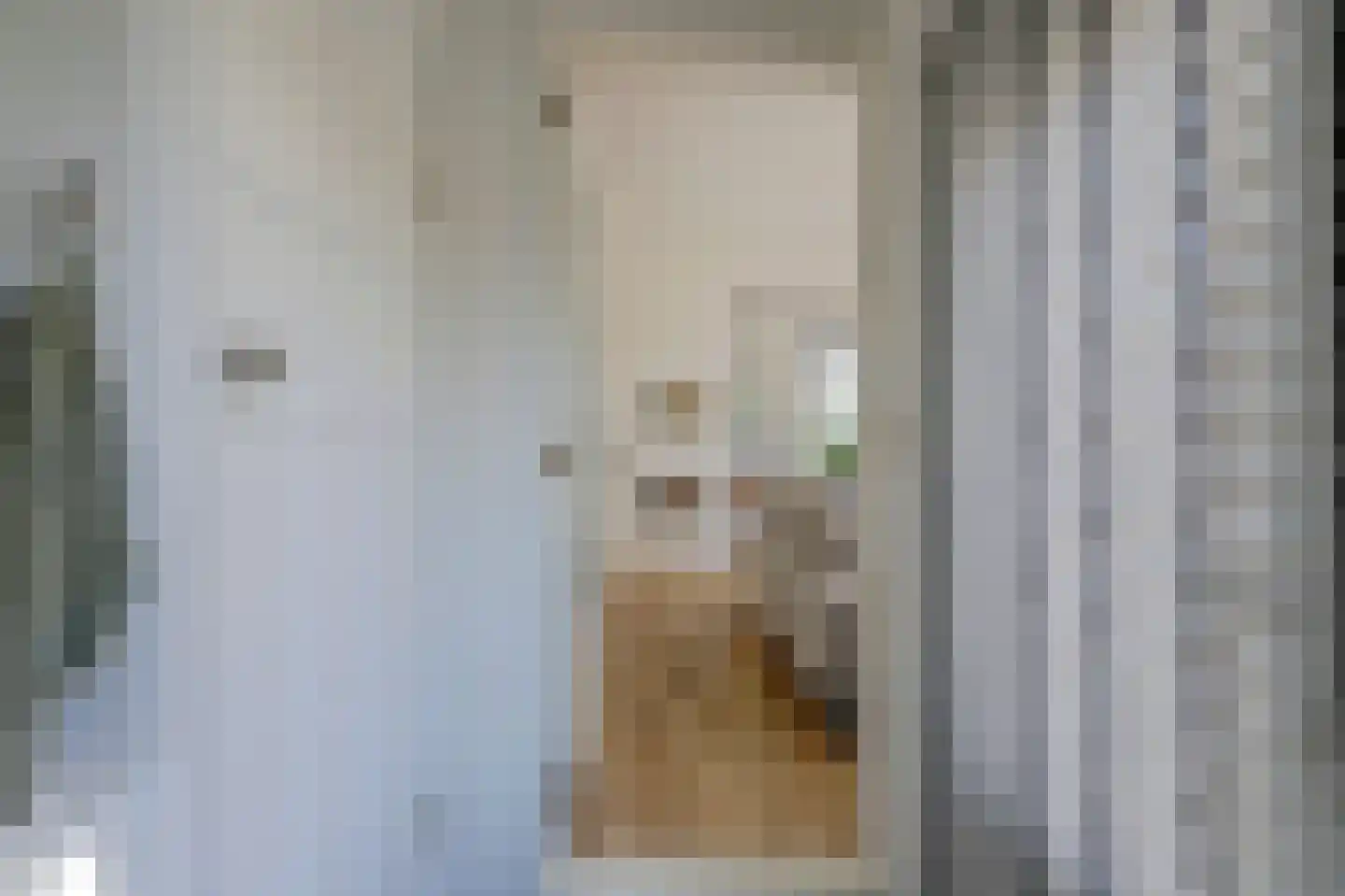 Doncksestraat 31 Ridderkerk thumbnail 31
