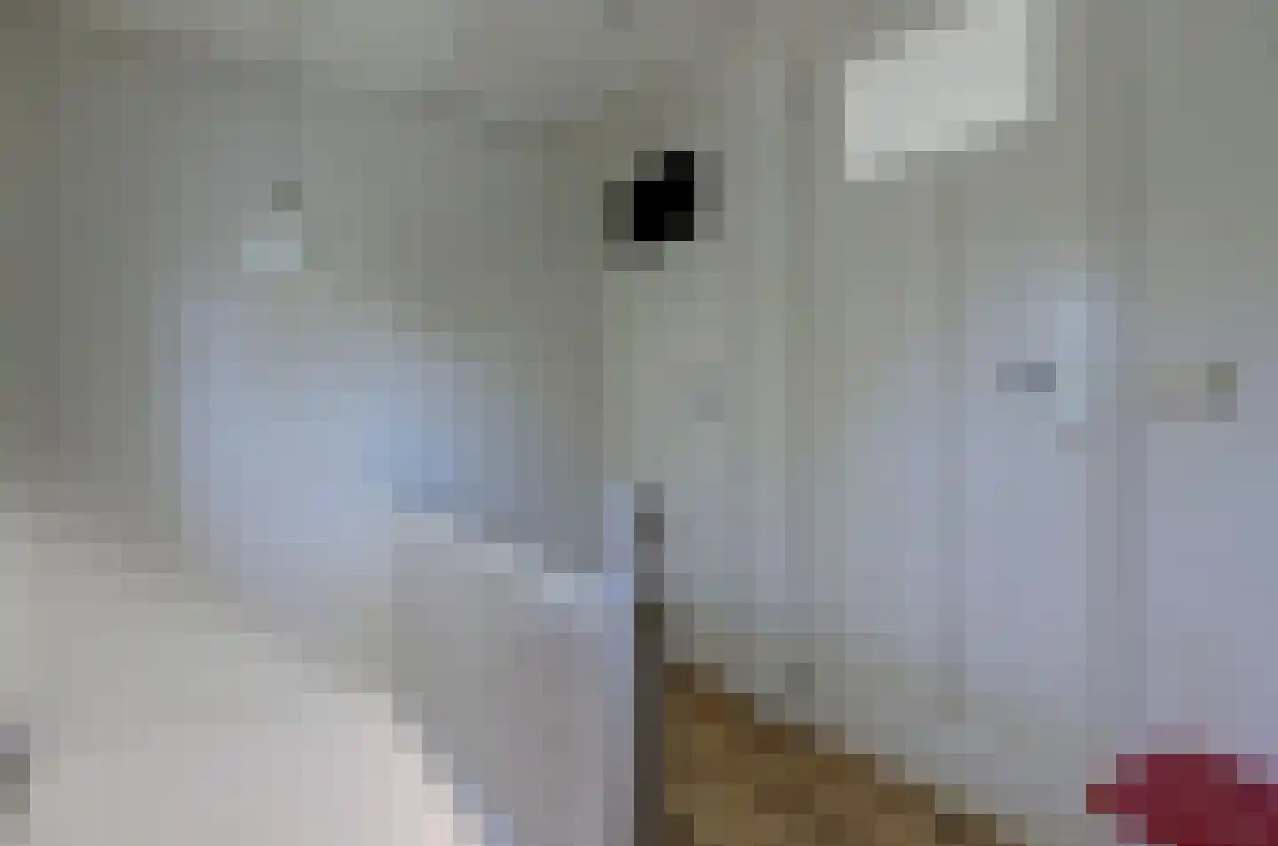 Doncksestraat 31 Ridderkerk thumbnail 34