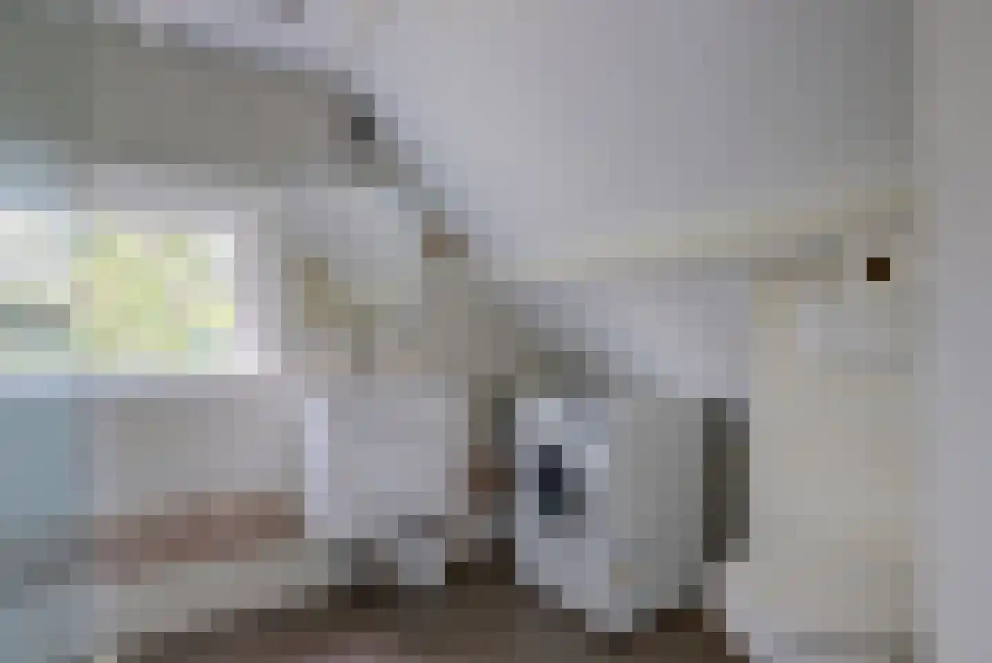 Doncksestraat 31 Ridderkerk thumbnail 41