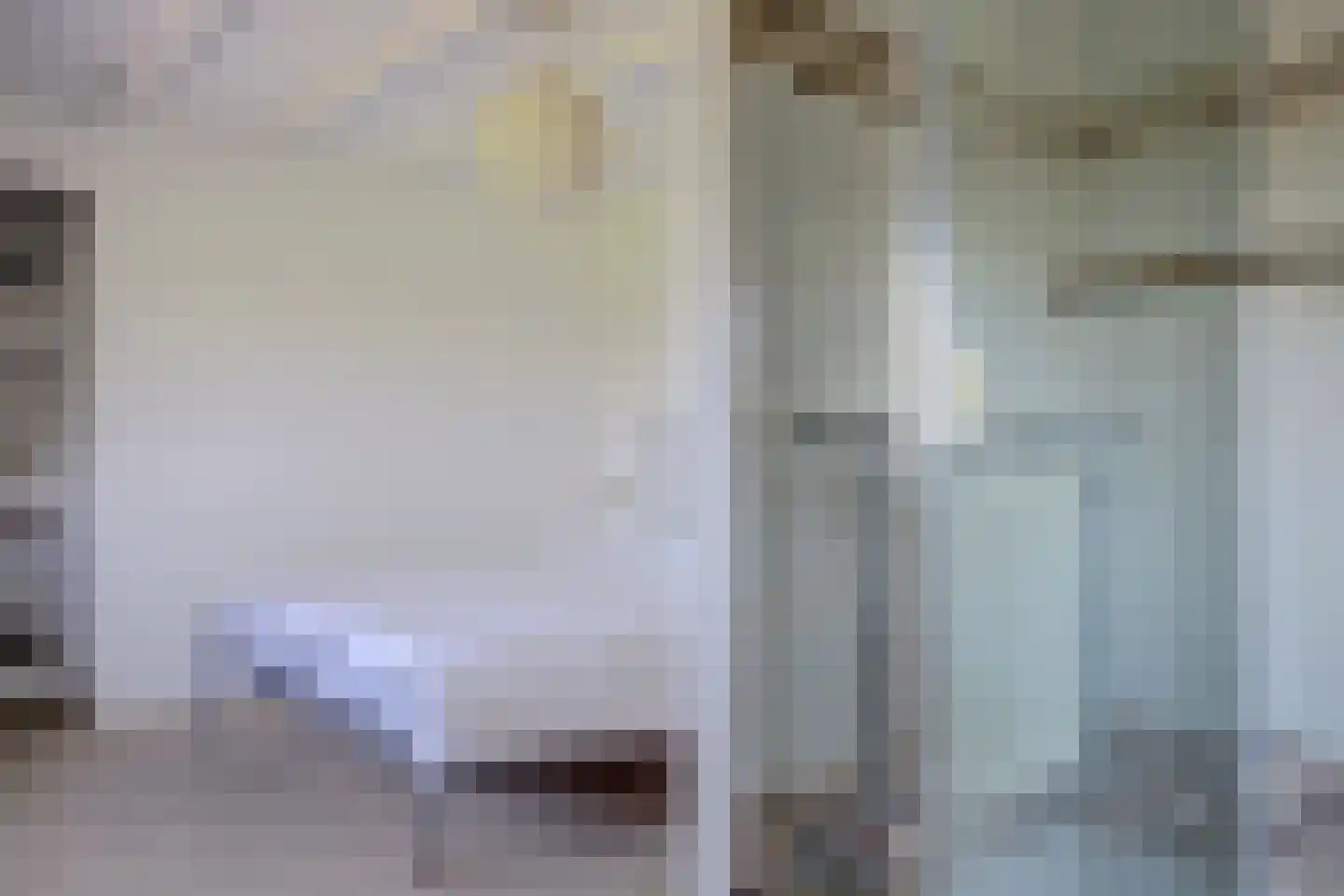 Doncksestraat 31 Ridderkerk thumbnail 43