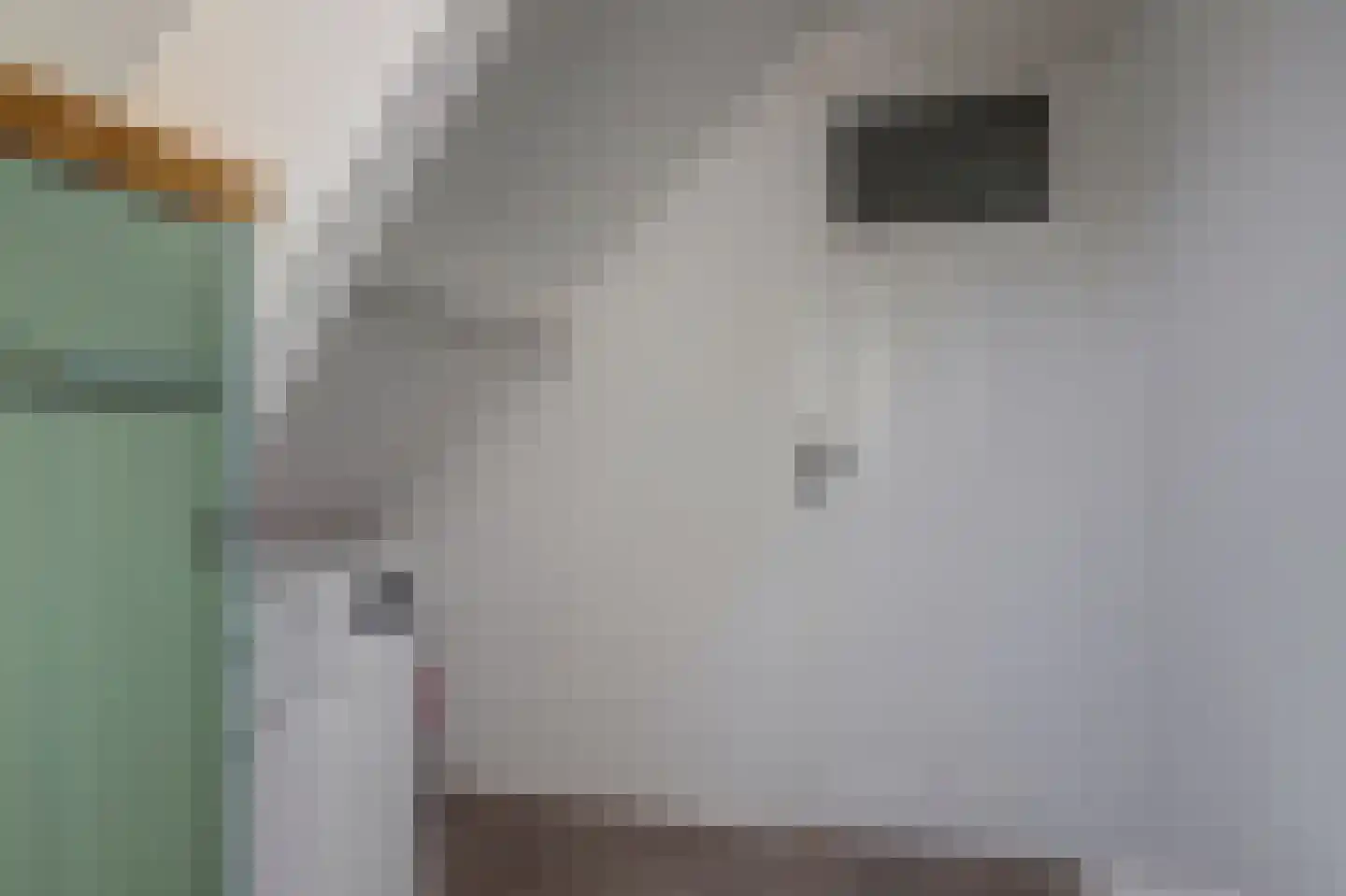 Doncksestraat 31 Ridderkerk thumbnail 45