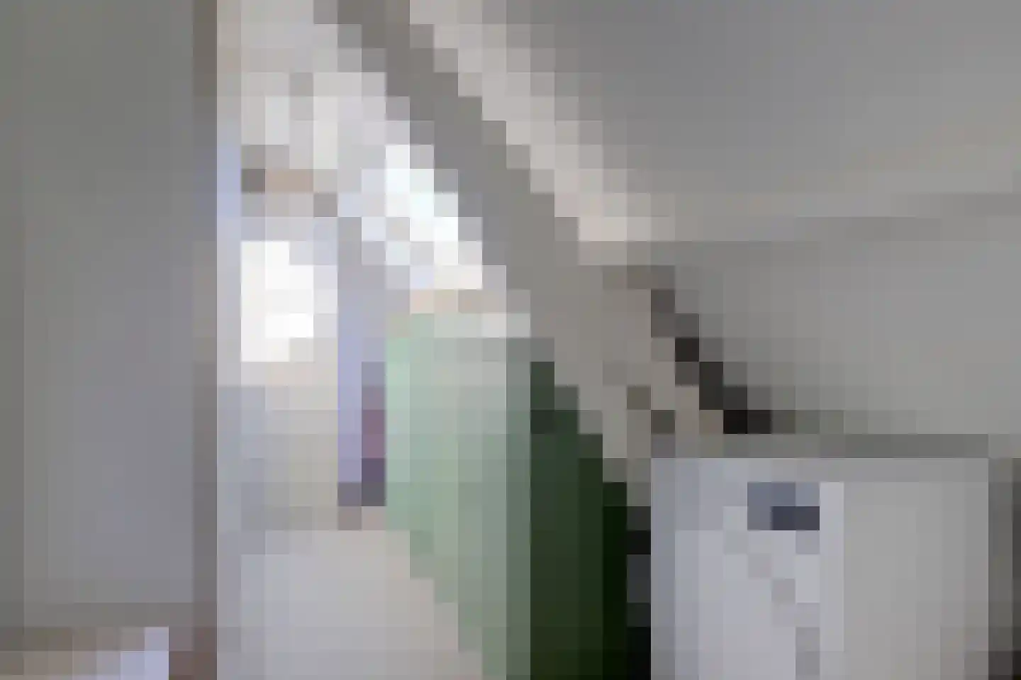 Doncksestraat 31 Ridderkerk thumbnail 46