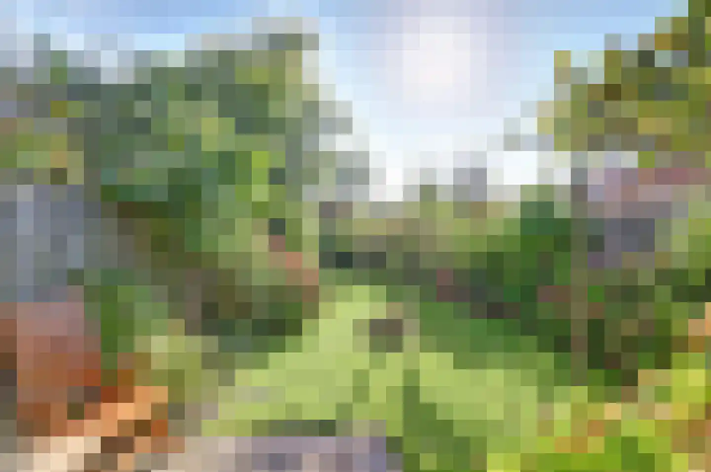 Doncksestraat 31 Ridderkerk thumbnail 49