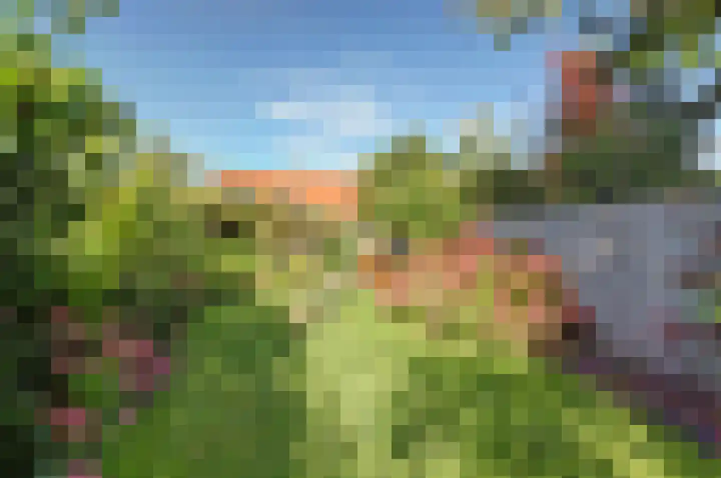 Doncksestraat 31 Ridderkerk thumbnail 5