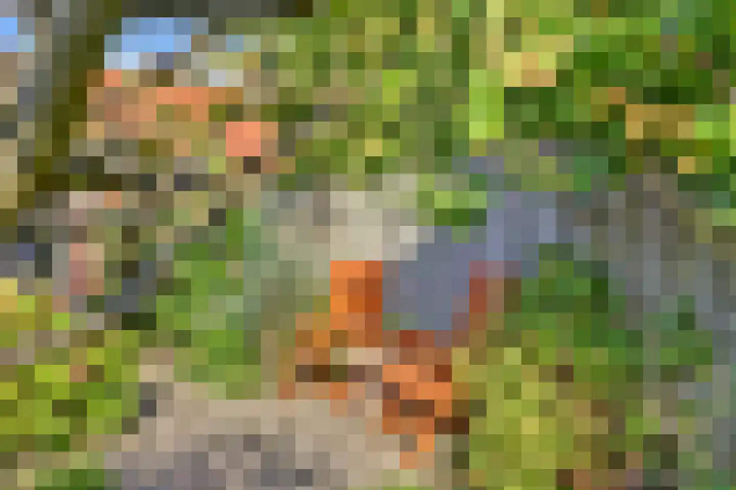 Doncksestraat 31 Ridderkerk thumbnail 50