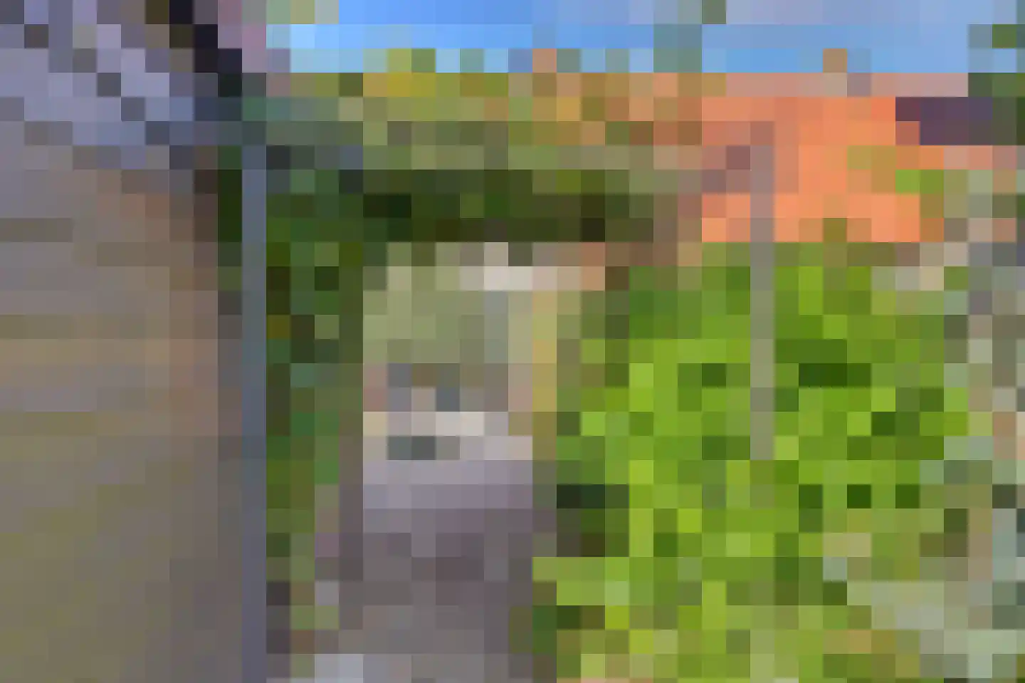 Doncksestraat 31 Ridderkerk thumbnail 51