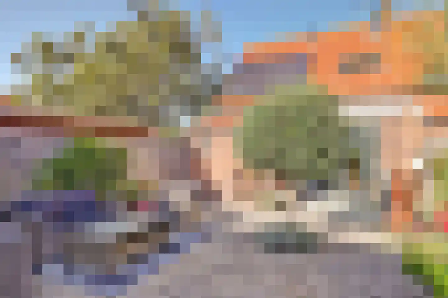 Doncksestraat 31 Ridderkerk thumbnail 52