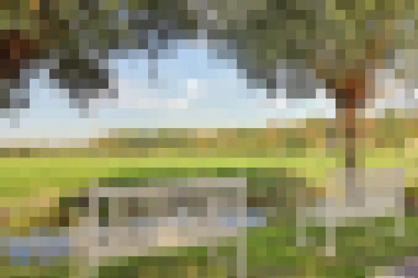 Doncksestraat 31 Ridderkerk thumbnail 57