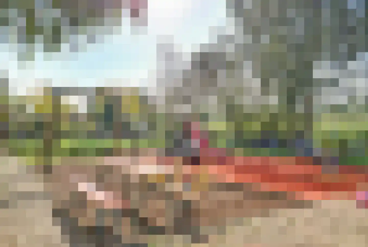 Doncksestraat 31 Ridderkerk thumbnail 59