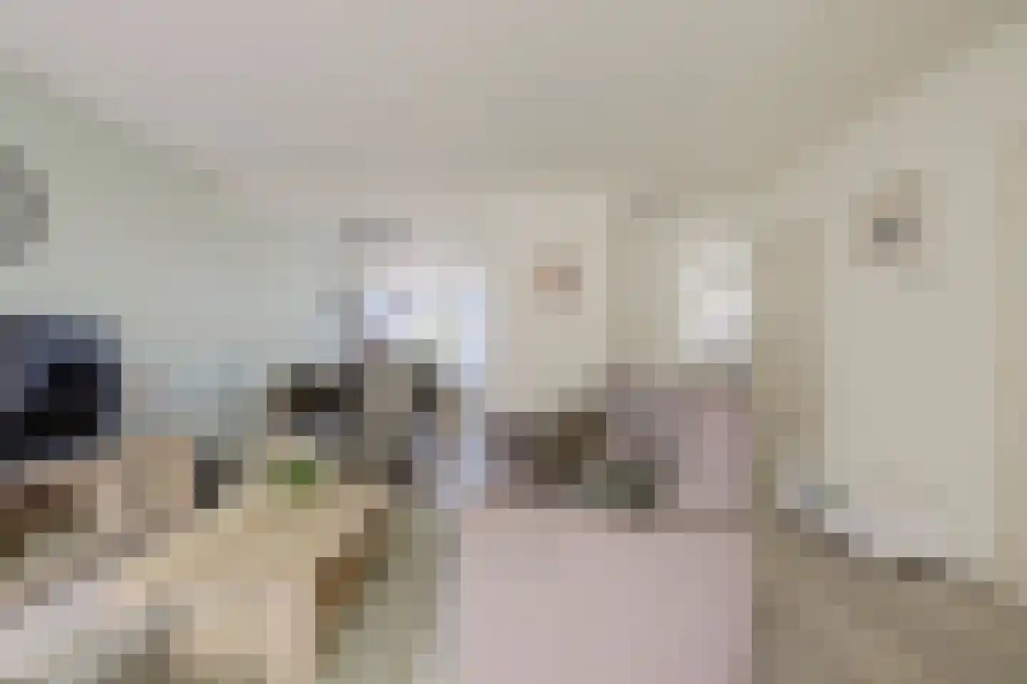 Doncksestraat 5 Ridderkerk thumbnail 10