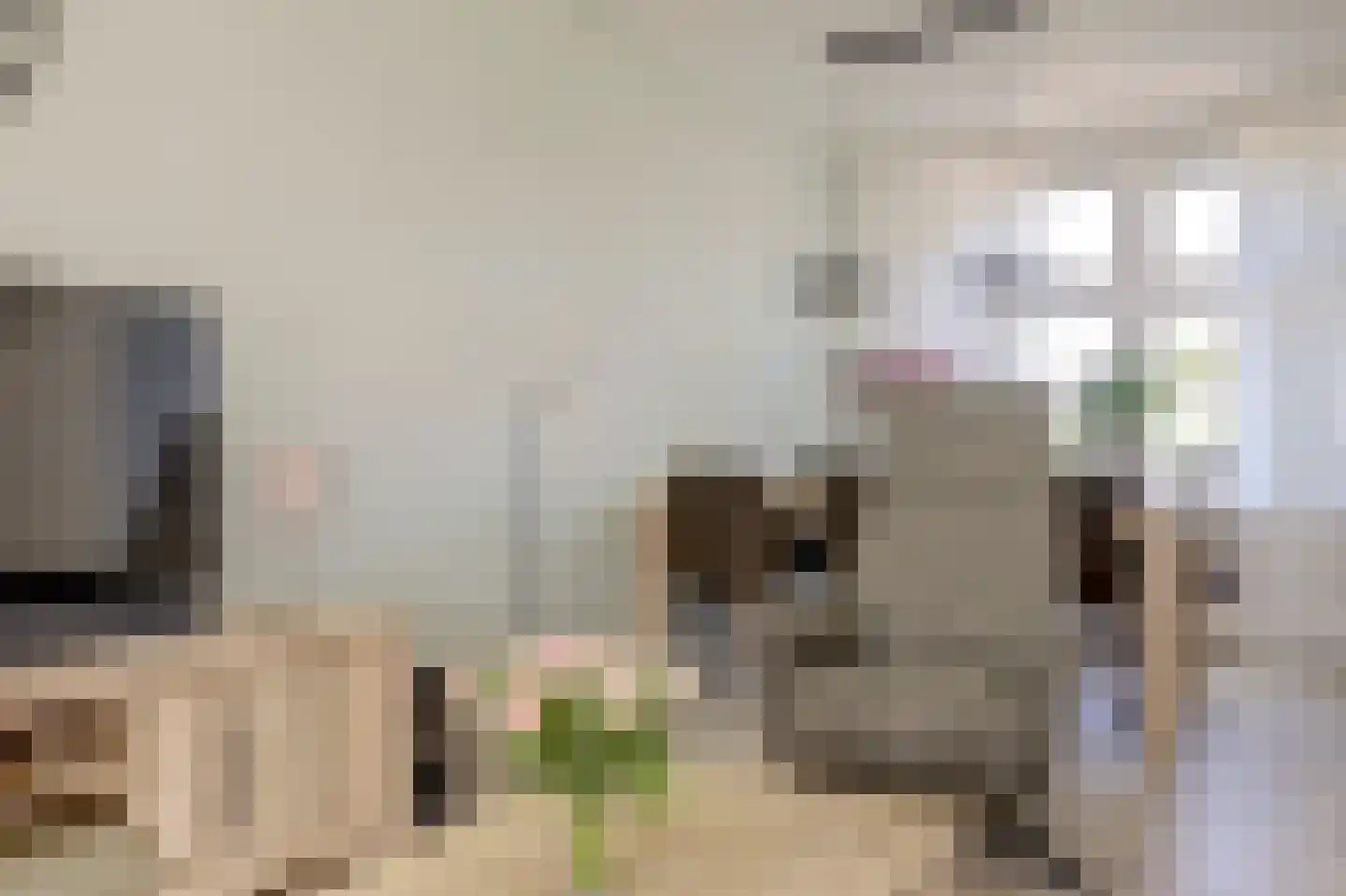 Doncksestraat 5 Ridderkerk thumbnail 11