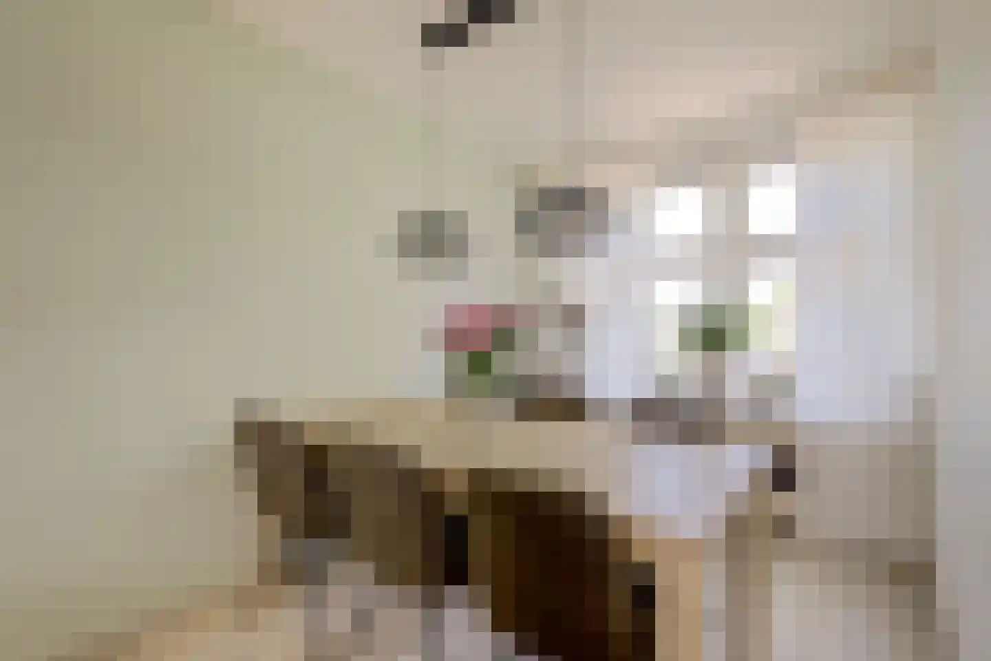 Doncksestraat 5 Ridderkerk thumbnail 12
