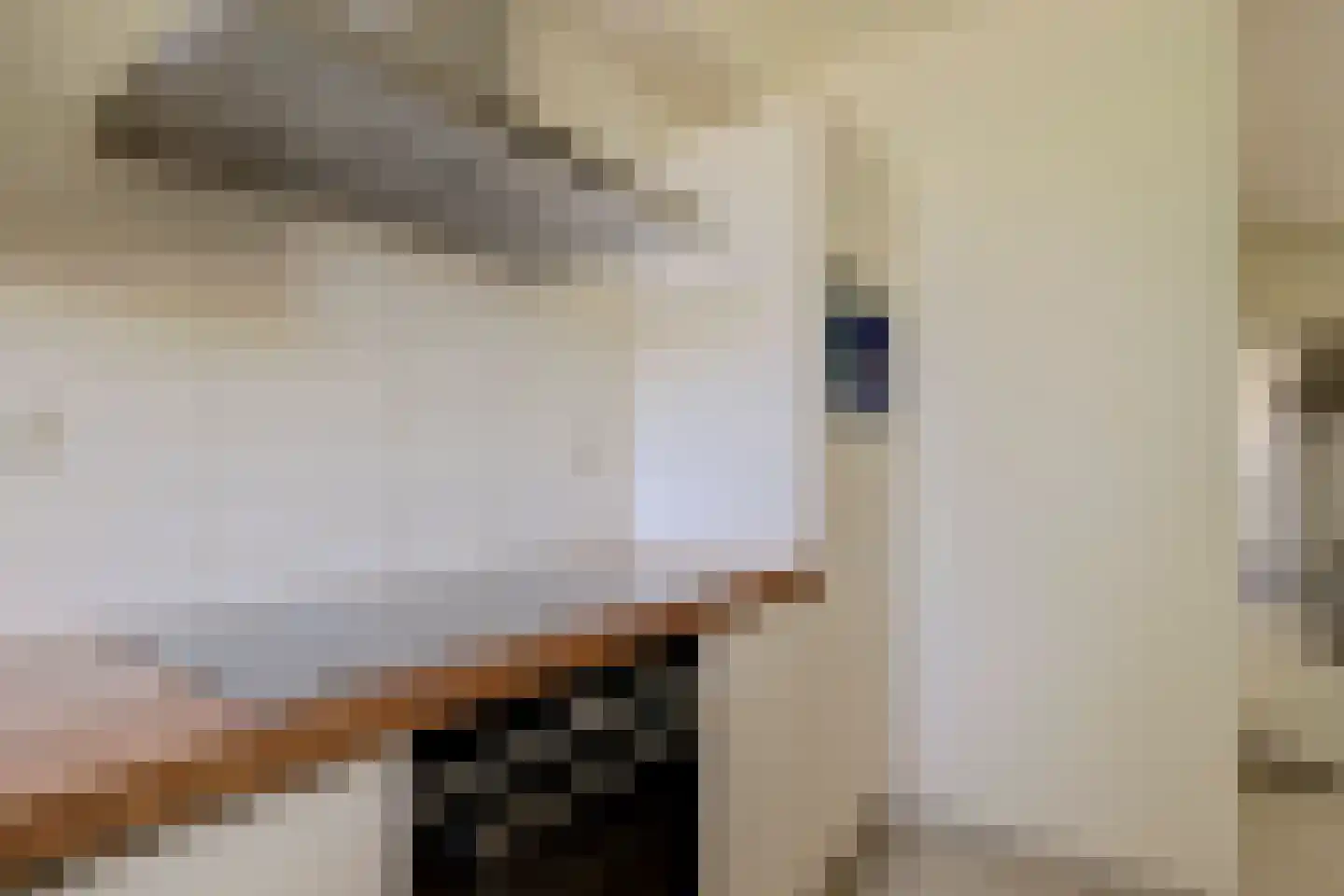 Doncksestraat 5 Ridderkerk thumbnail 16