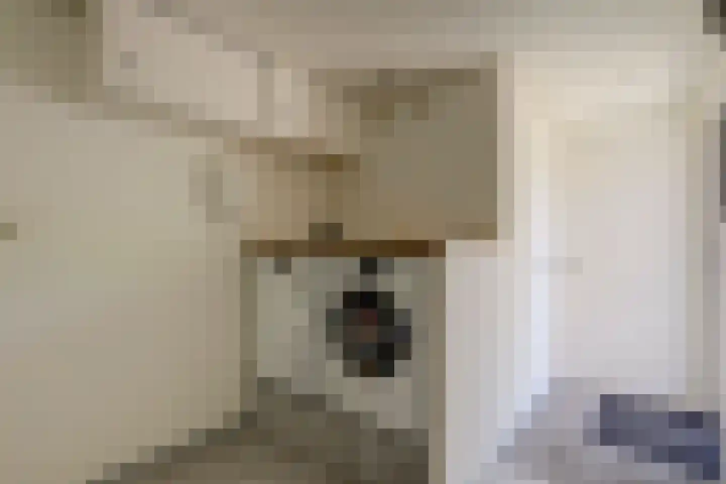 Doncksestraat 5 Ridderkerk thumbnail 18