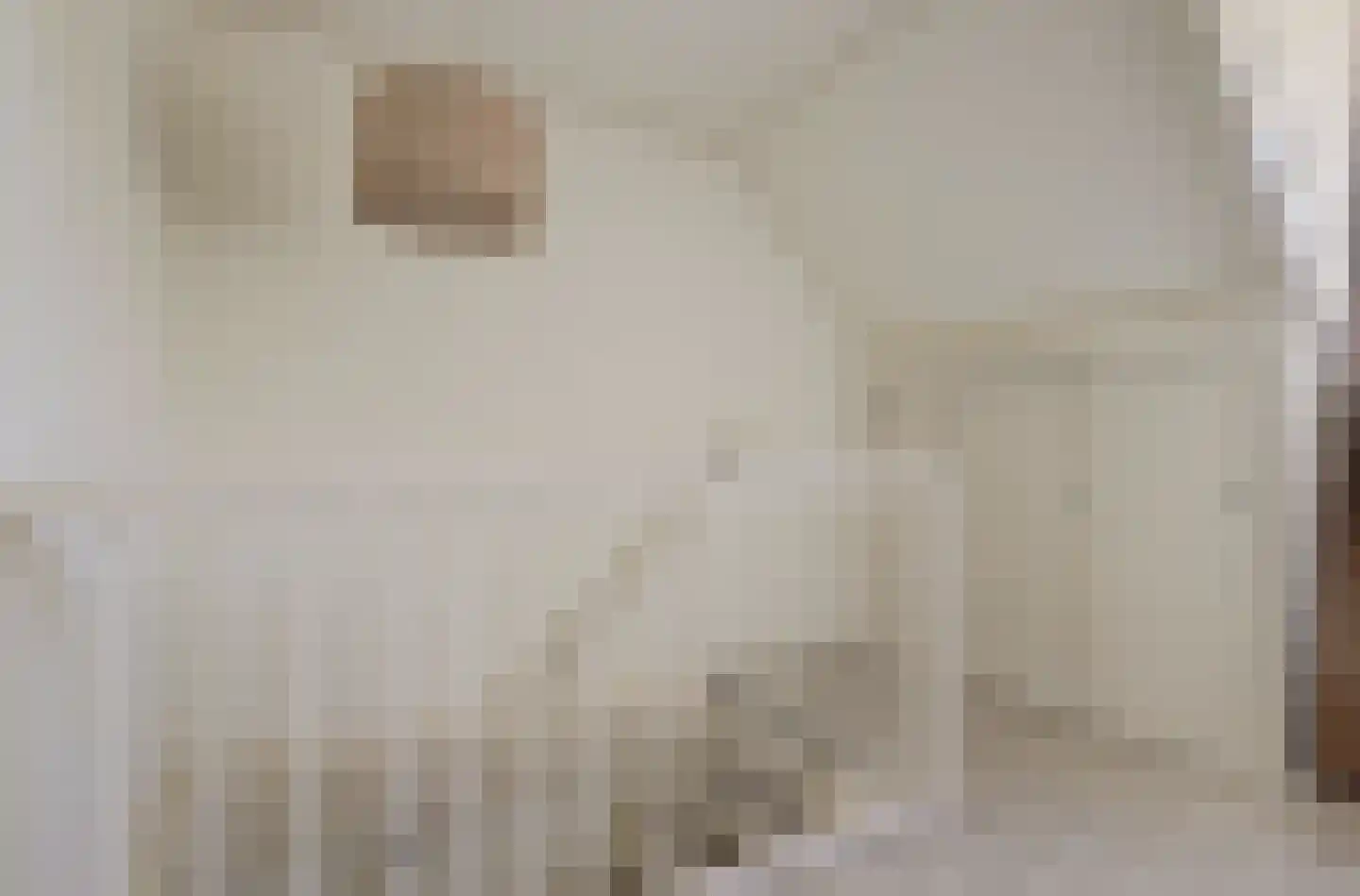 Doncksestraat 5 Ridderkerk thumbnail 22