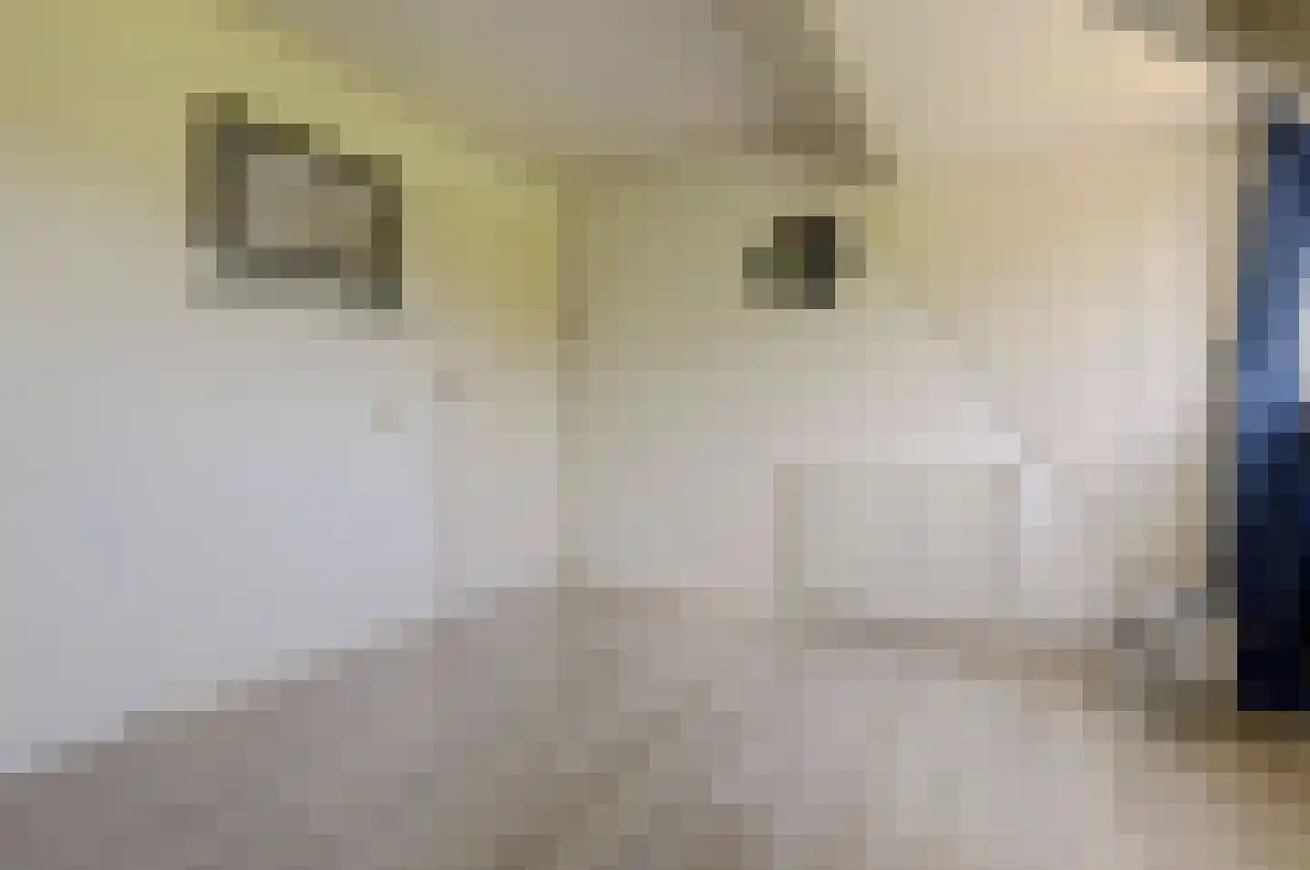 Doncksestraat 5 Ridderkerk thumbnail 26