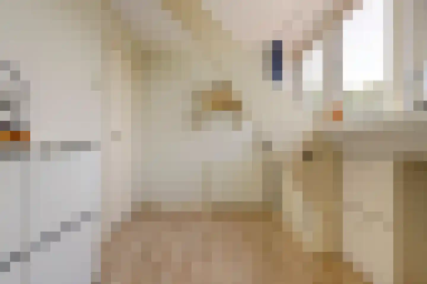 Doncksestraat 5 Ridderkerk thumbnail 28