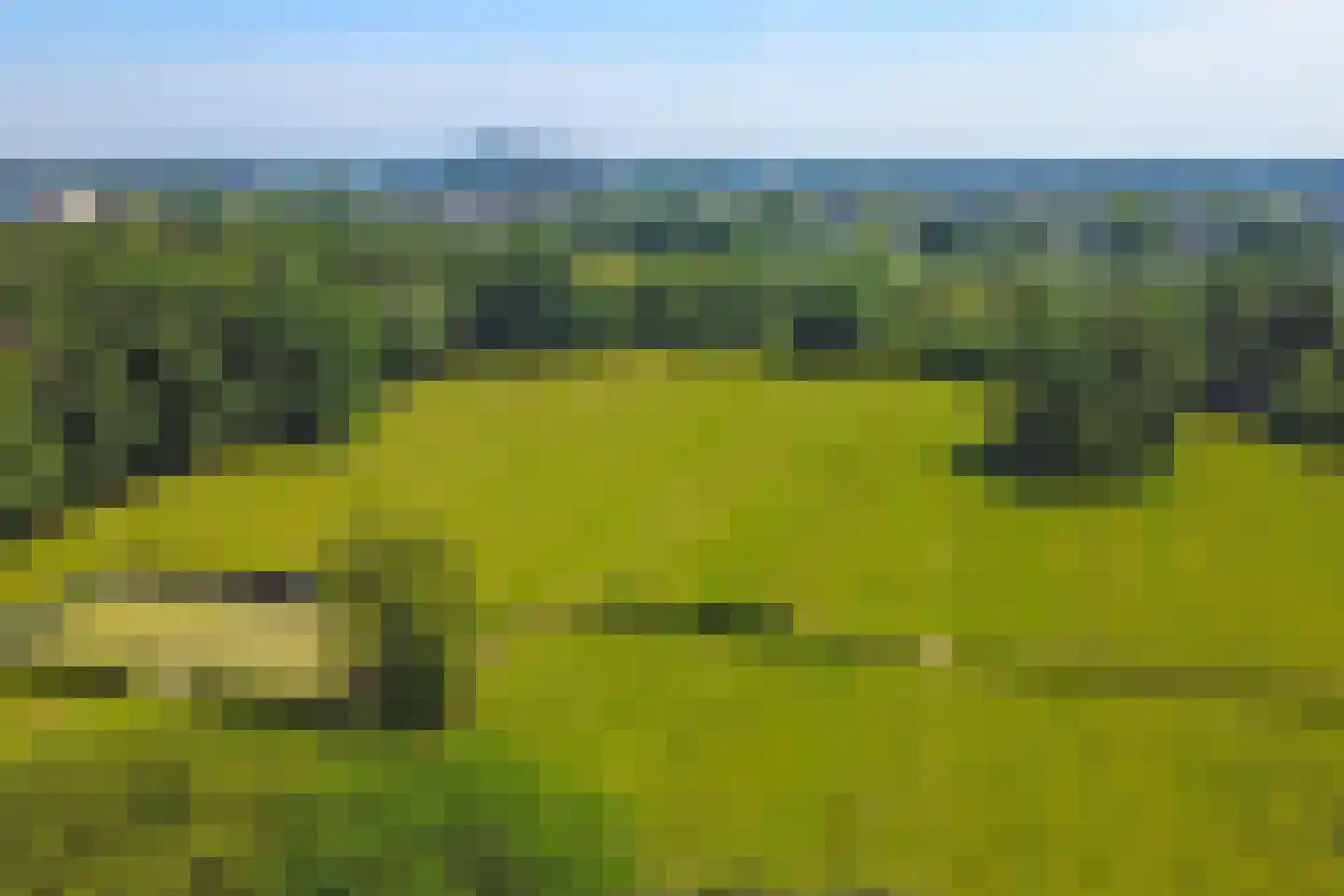 Doncksestraat 5 Ridderkerk thumbnail 37
