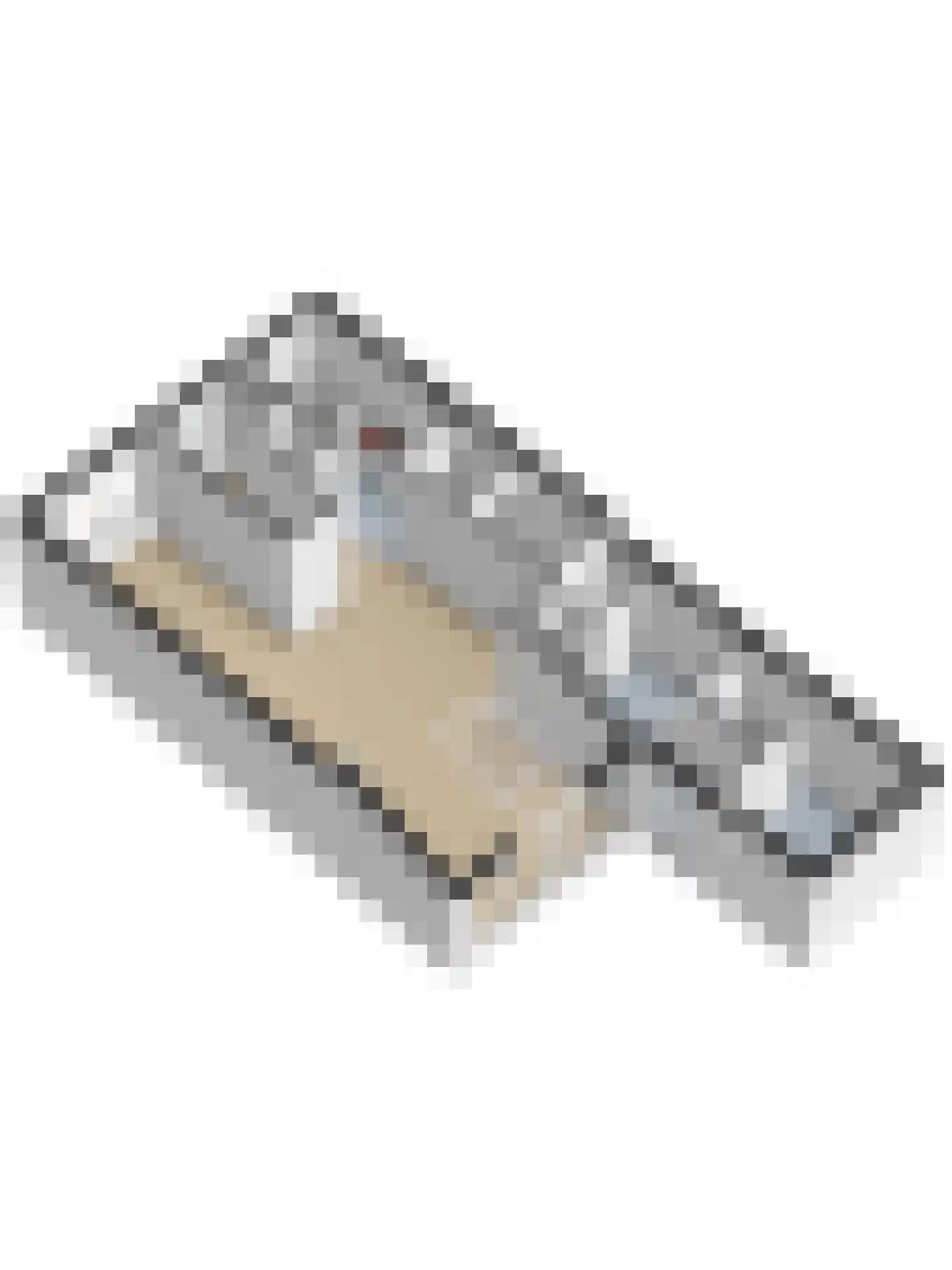 Doncksestraat 5 Ridderkerk thumbnail 44