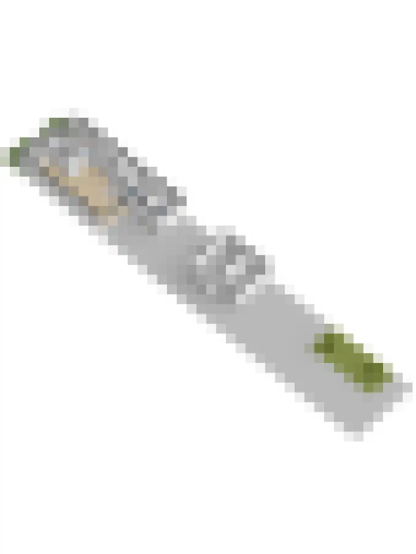 Doncksestraat 5 Ridderkerk thumbnail 50