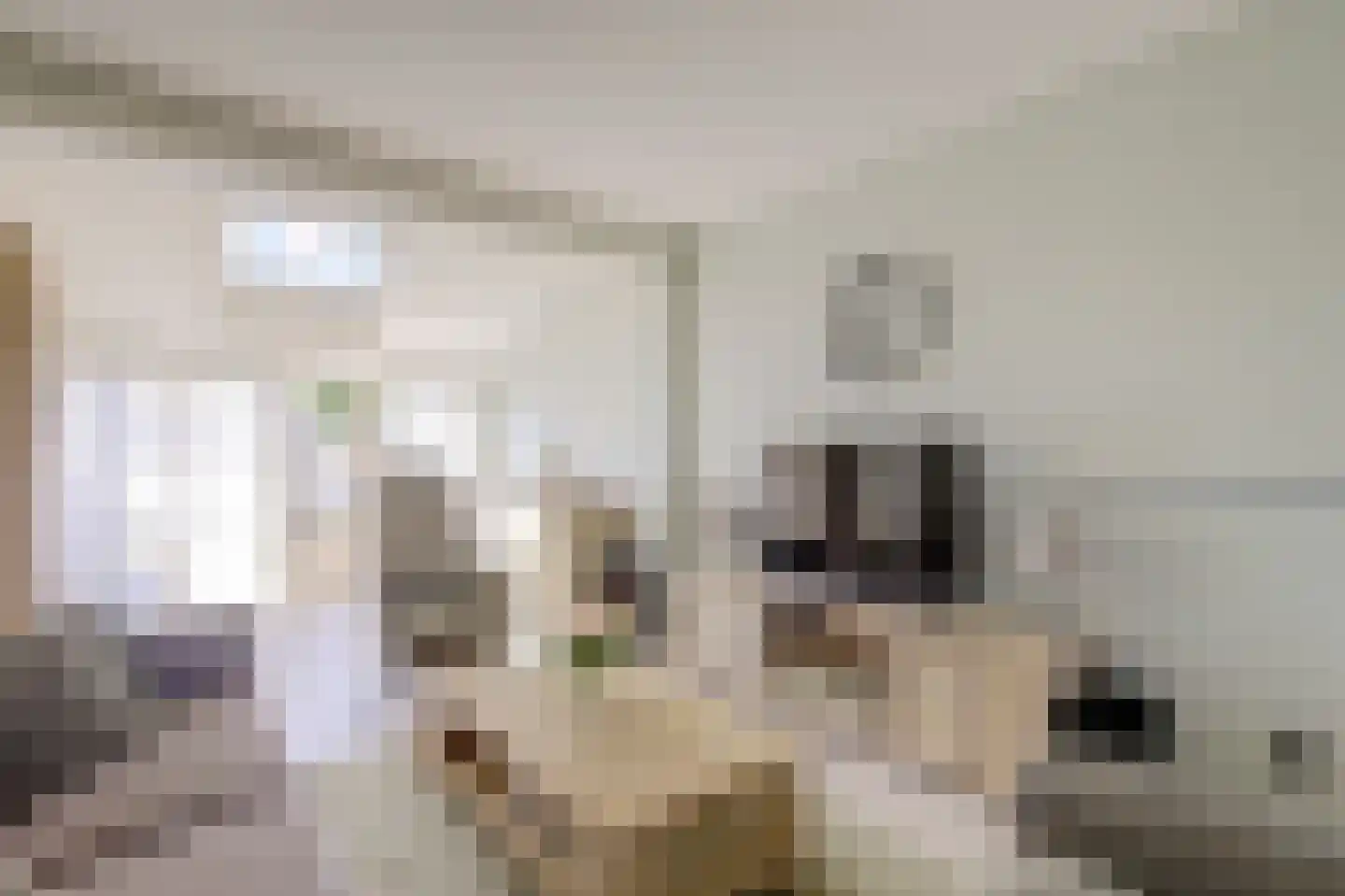 Doncksestraat 5 Ridderkerk thumbnail 8