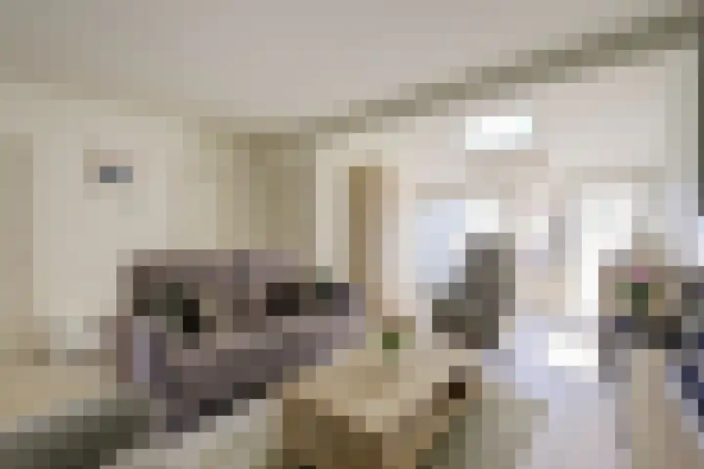 Doncksestraat 5 Ridderkerk thumbnail 9