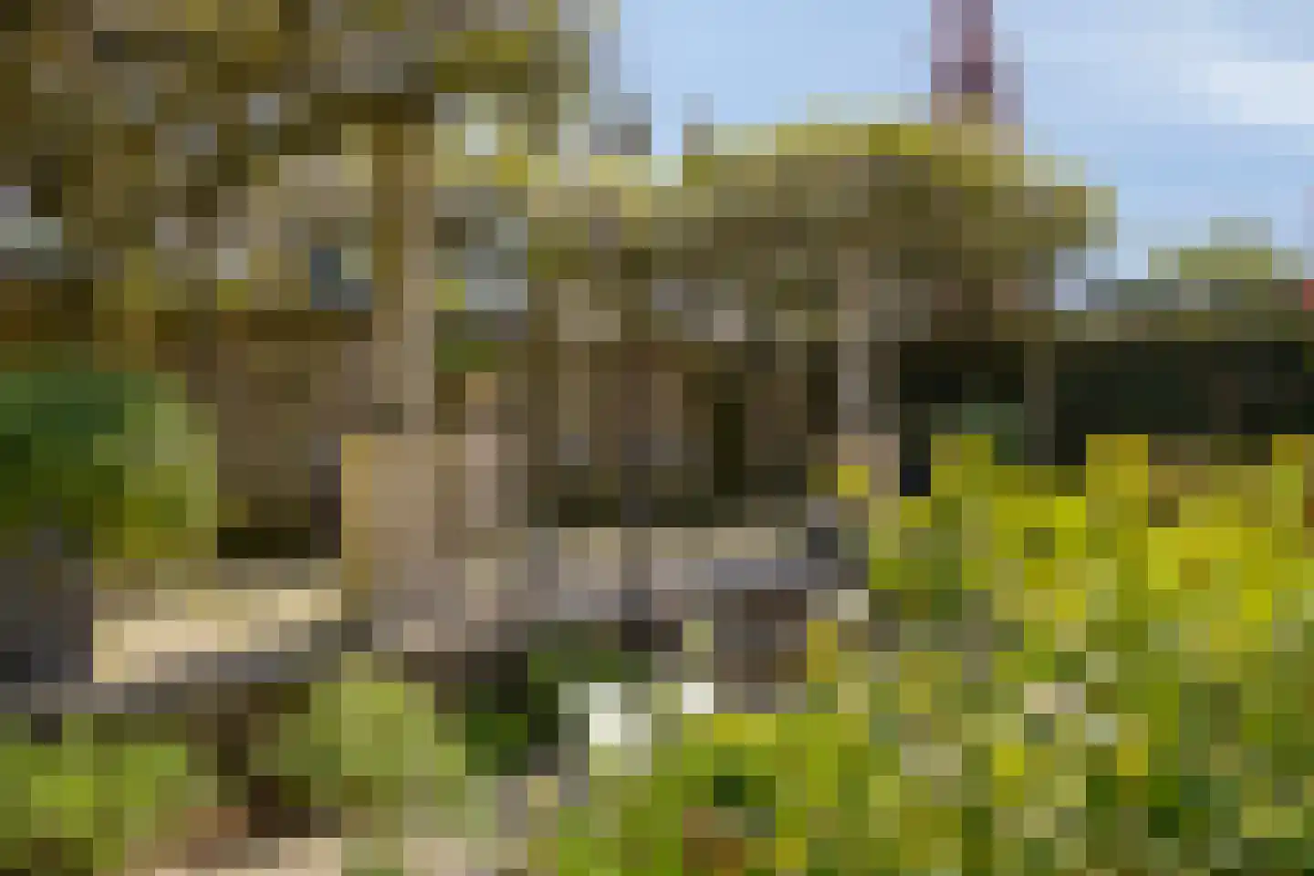 Donderhei 16 Best thumbnail 31