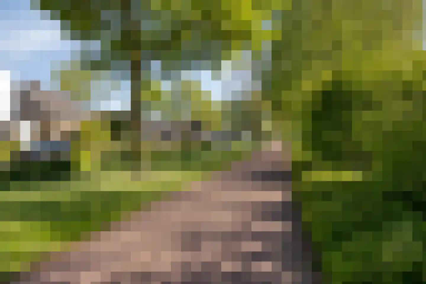 Donderhei 16 Best thumbnail 34