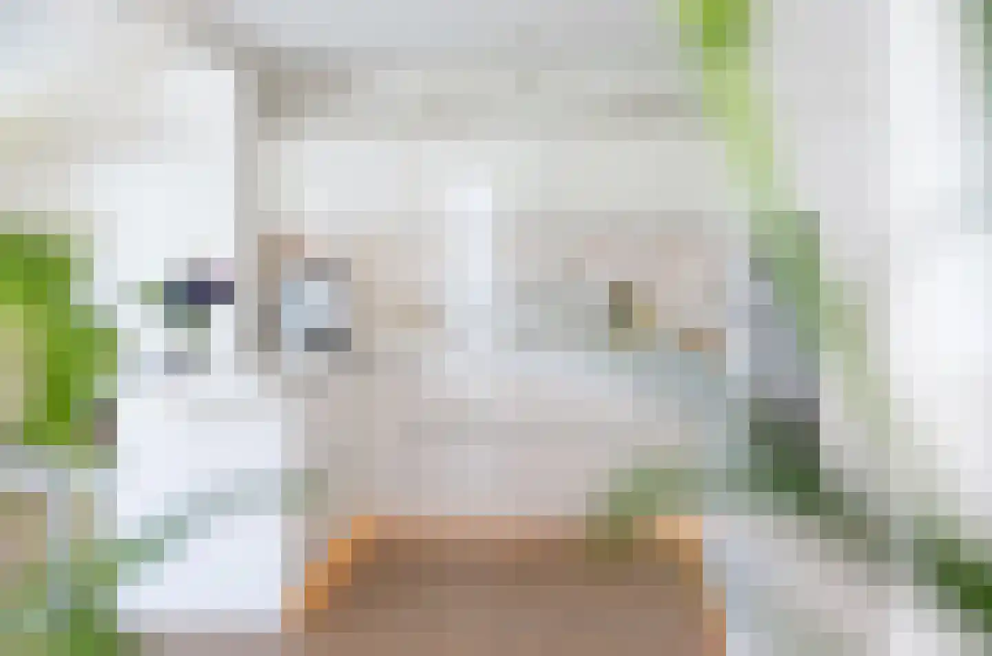 Donderhei 9 Best thumbnail 11