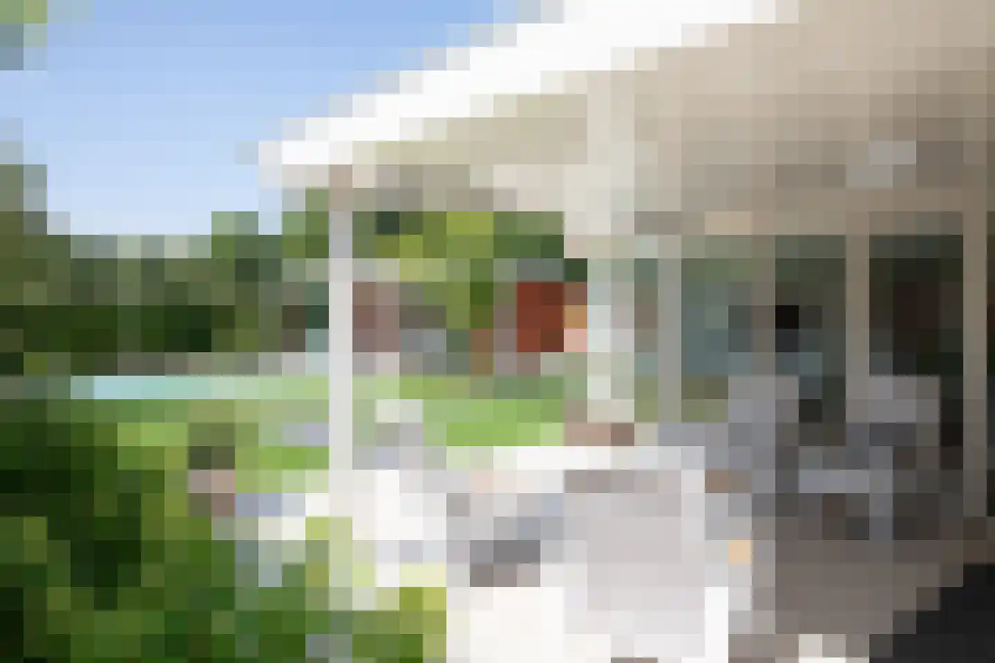 Donderhei 9 Best thumbnail 42