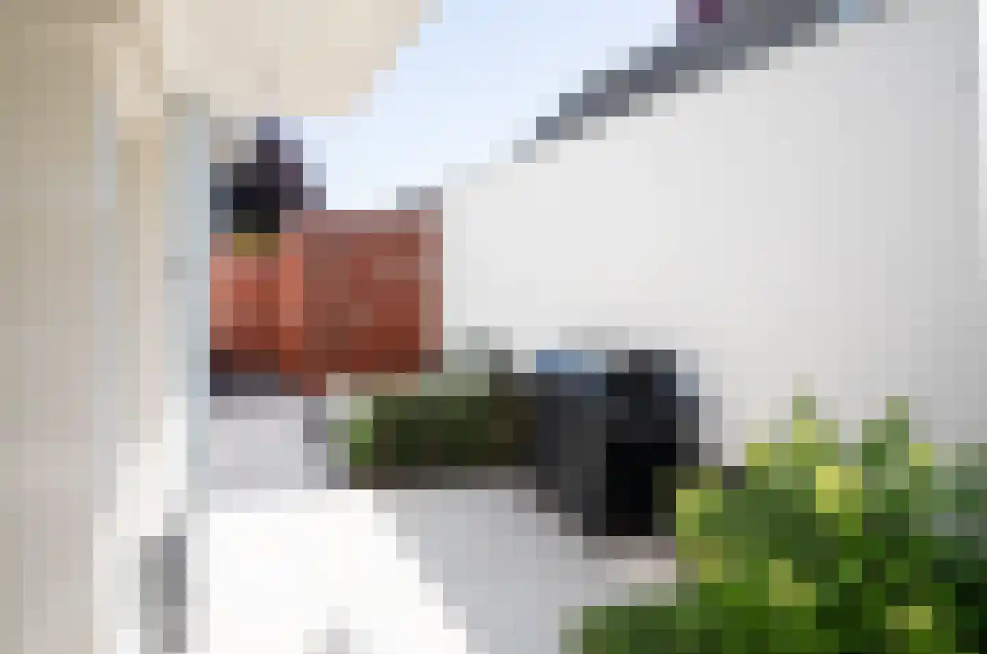 Donderhei 9 Best thumbnail 43