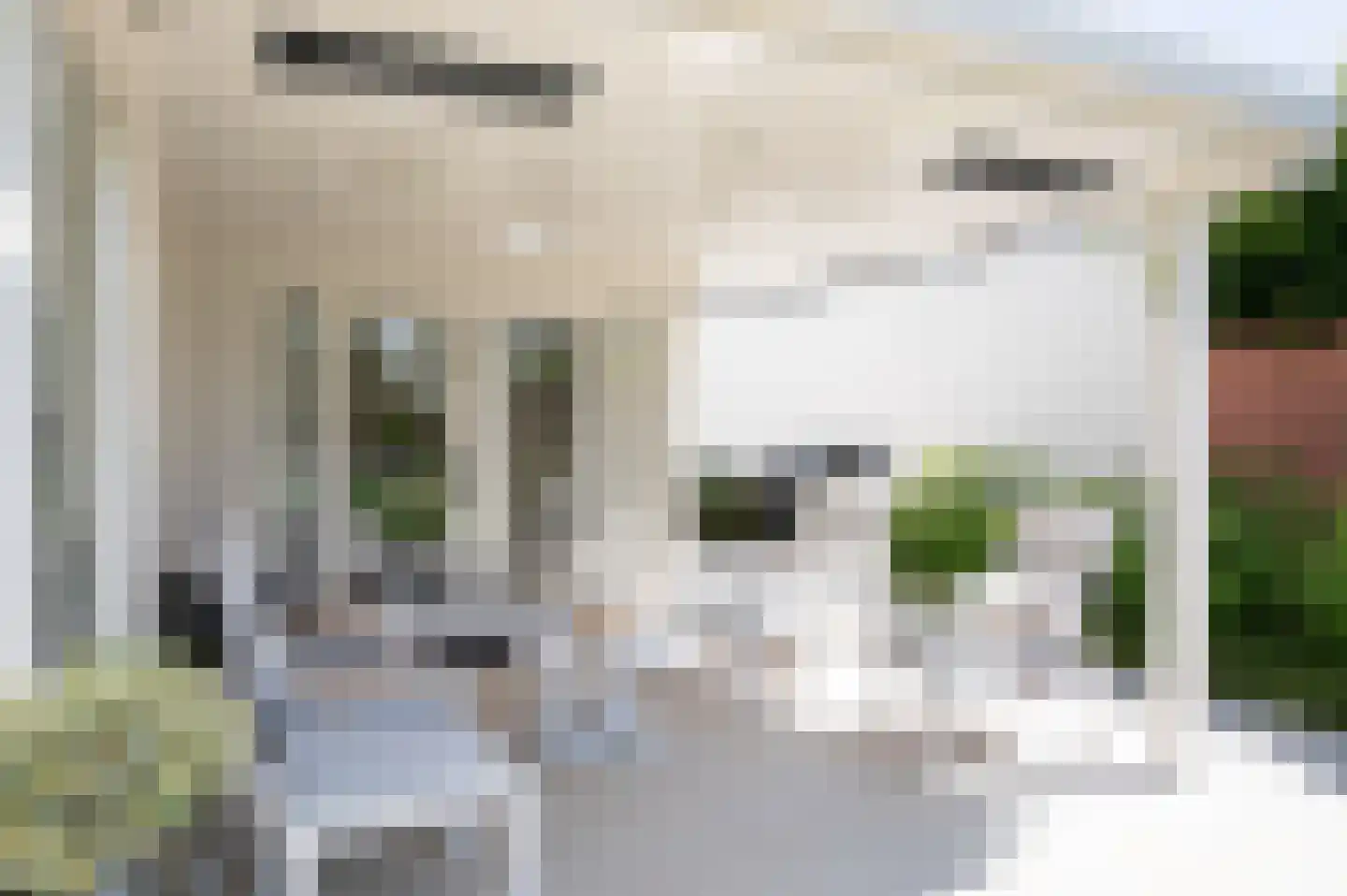 Donderhei 9 Best thumbnail 45