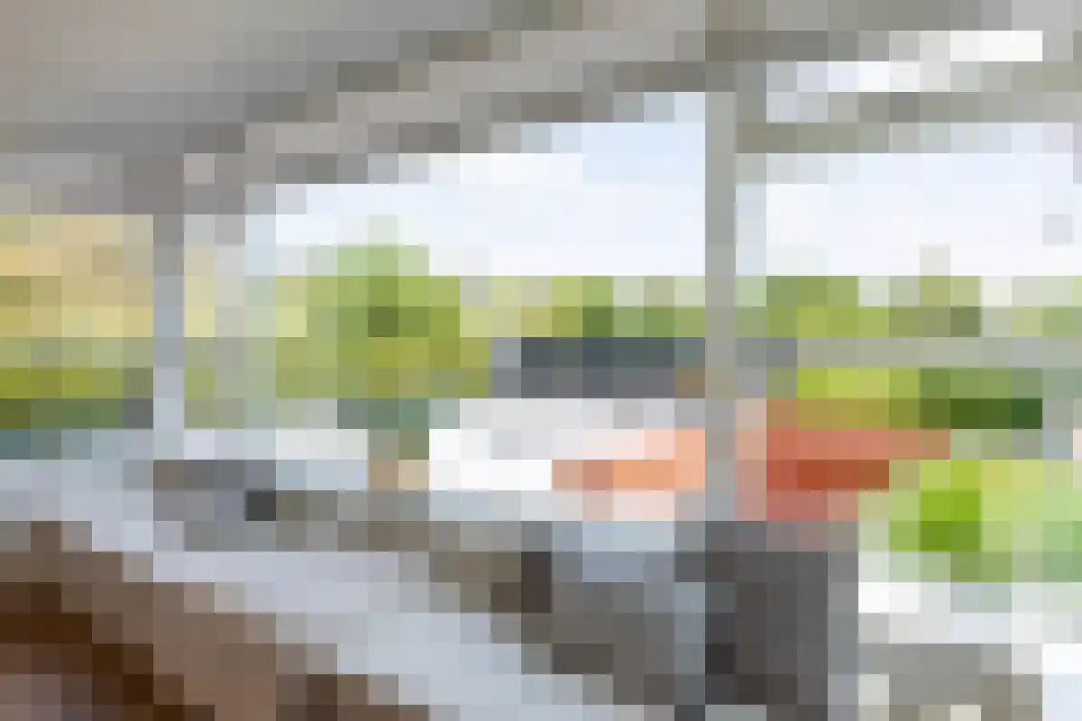 Donderhei 9 Best thumbnail 5