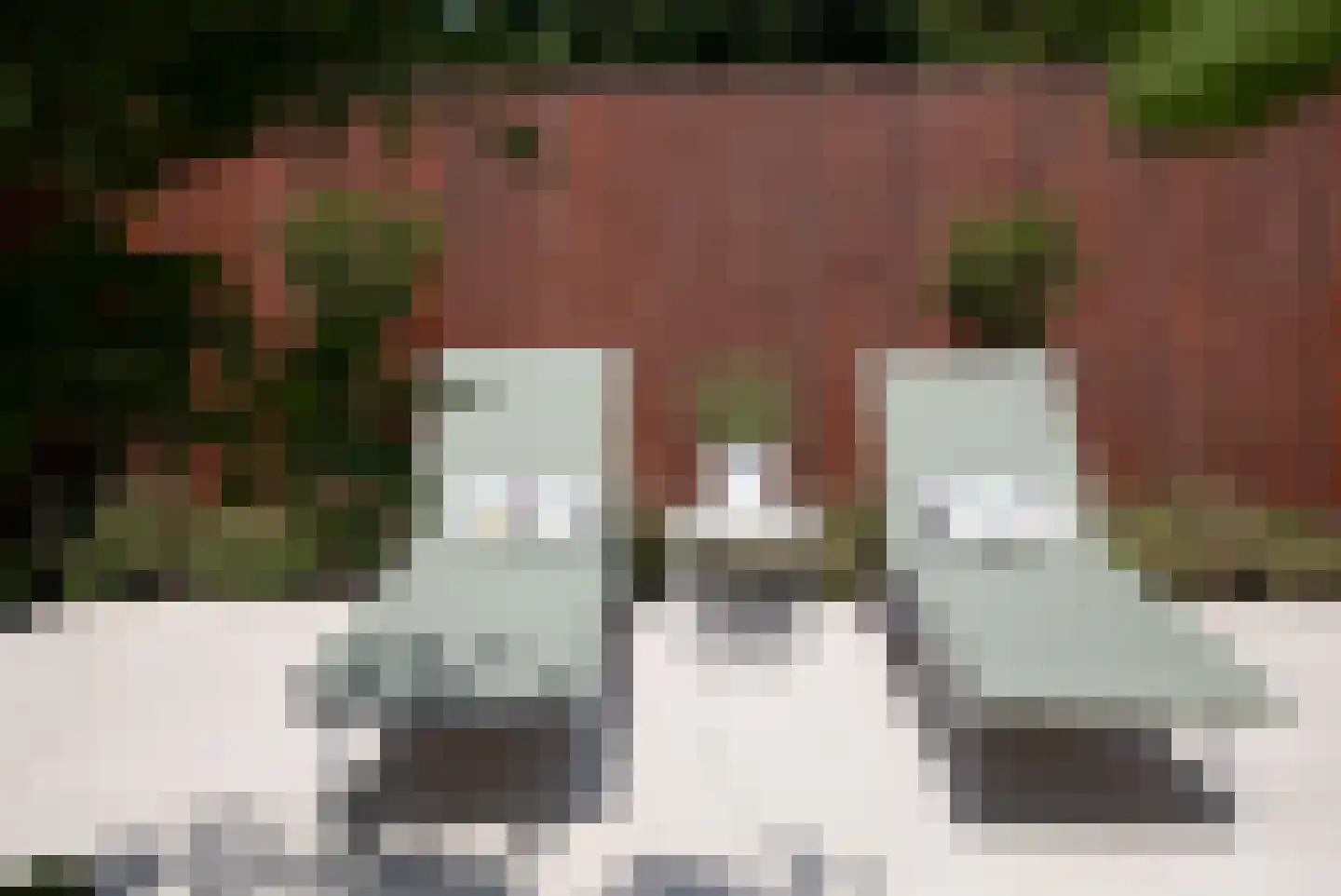 Donderhei 9 Best thumbnail 53