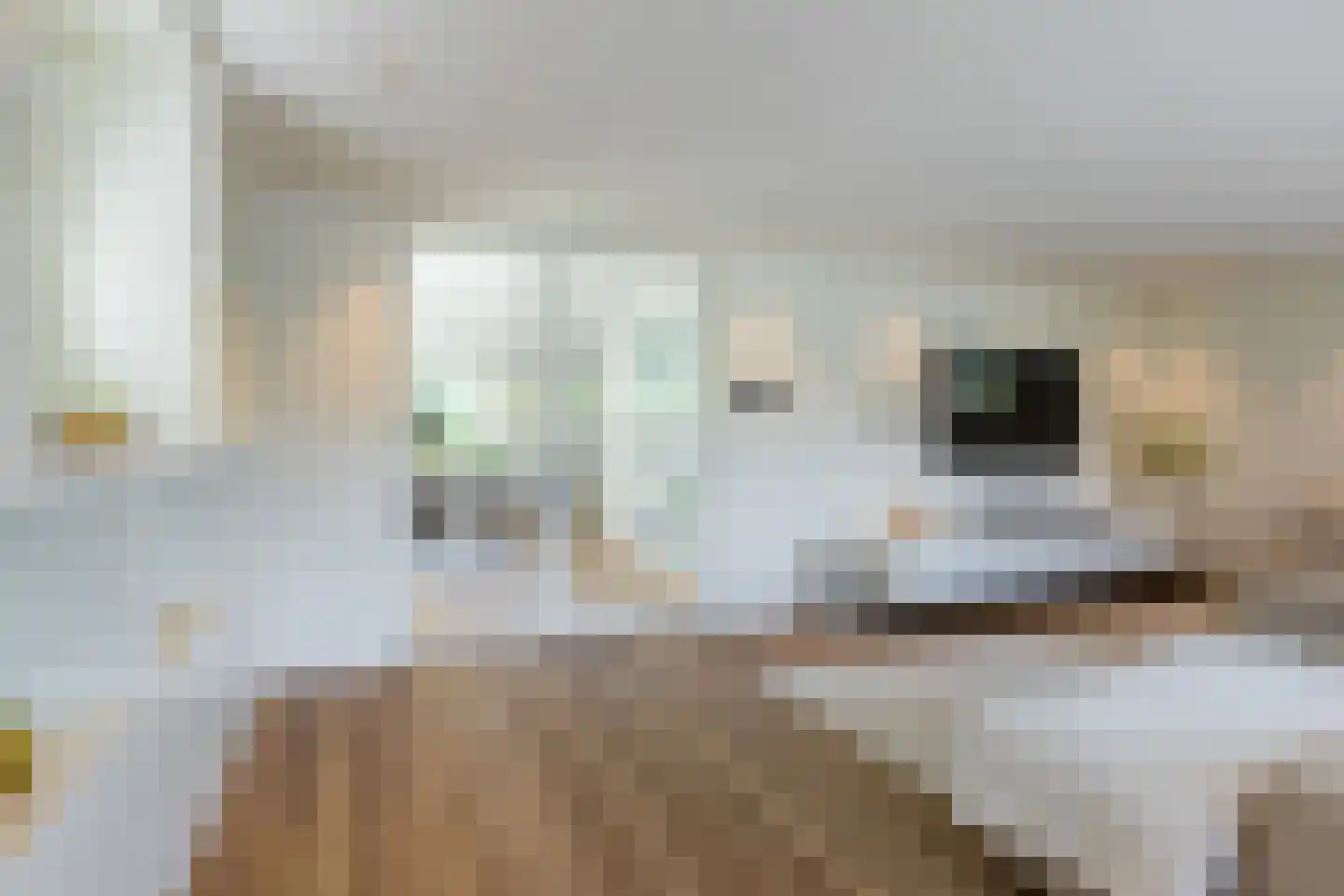 Donderhei 9 Best thumbnail 8