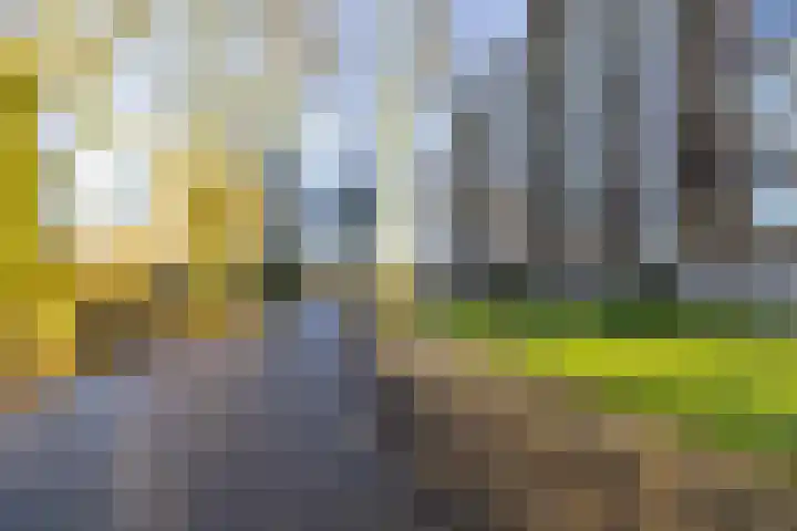 Donderslaan 110 Groningen thumbnail 29