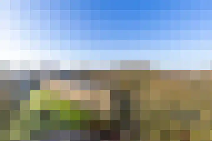 Donderslaan 110 Groningen thumbnail 32