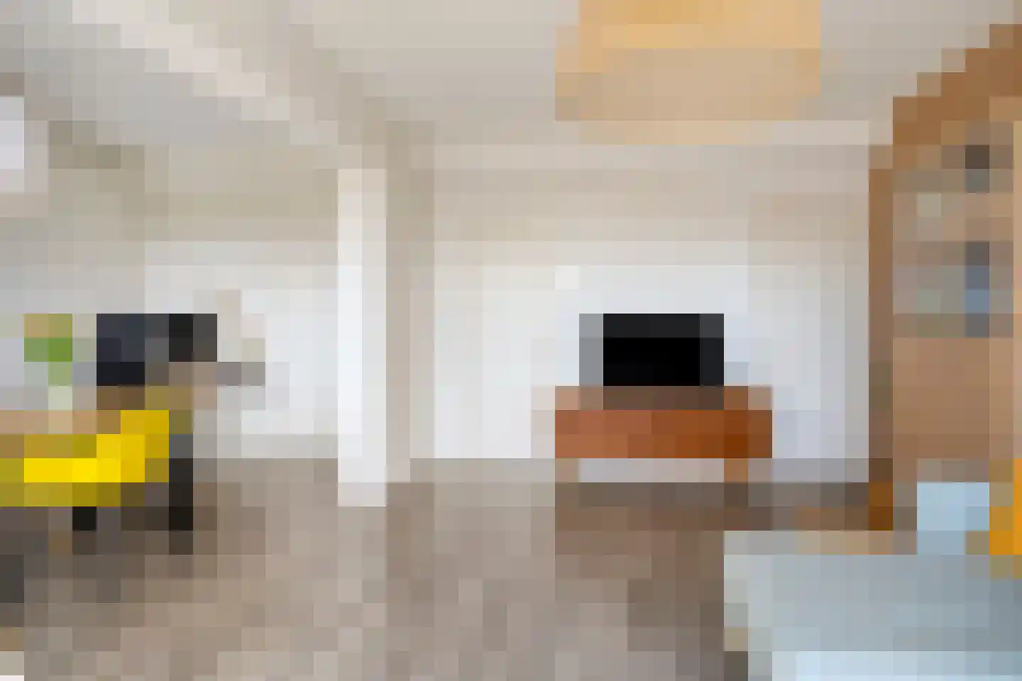 Donderslaan 111 Groningen thumbnail 11